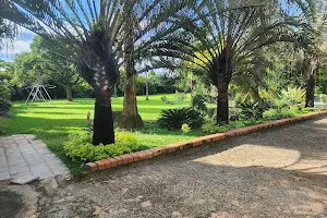 Saly's Garden image