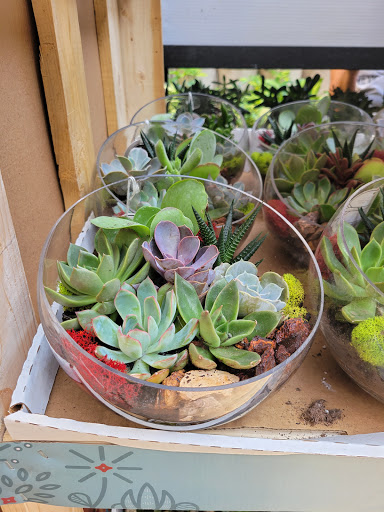 Home Improvement Store «The Home Depot», reviews and photos, 3700 NJ-35, Hazlet, NJ 07730, USA