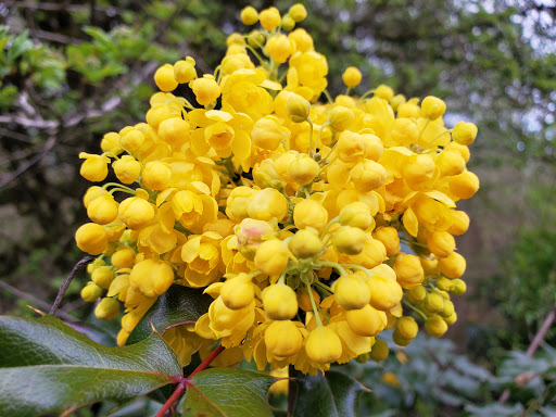 Park «West Hylebos Wetlands Park», reviews and photos, 411 S 348th St, Federal Way, WA 98003, USA