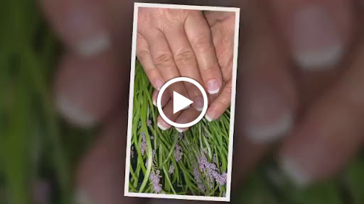 Nail Salon «HERBAL NAILS & SPA 2», reviews and photos, 6590 N Scottsdale Rd #150, Paradise Valley, AZ 85253, USA