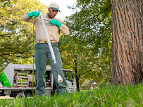 TruGreen Lawn Care - Photo 9 - Car repair in Houston, TX, Houston