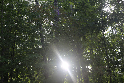 Live Music Venue «Lake Superior Big Top Chautauqua: Concert Venue», reviews and photos, 32535 Ski Hill Rd, Bayfield, WI 54814, USA