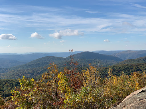 Mount Beacon Fire Tower image 1