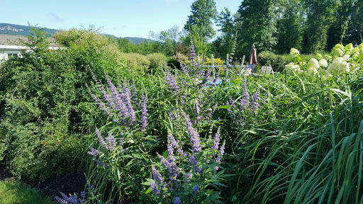 Garden Center «Victoria Gardens», reviews and photos, 1 Cottekill Rd, Rosendale, NY 12472, USA