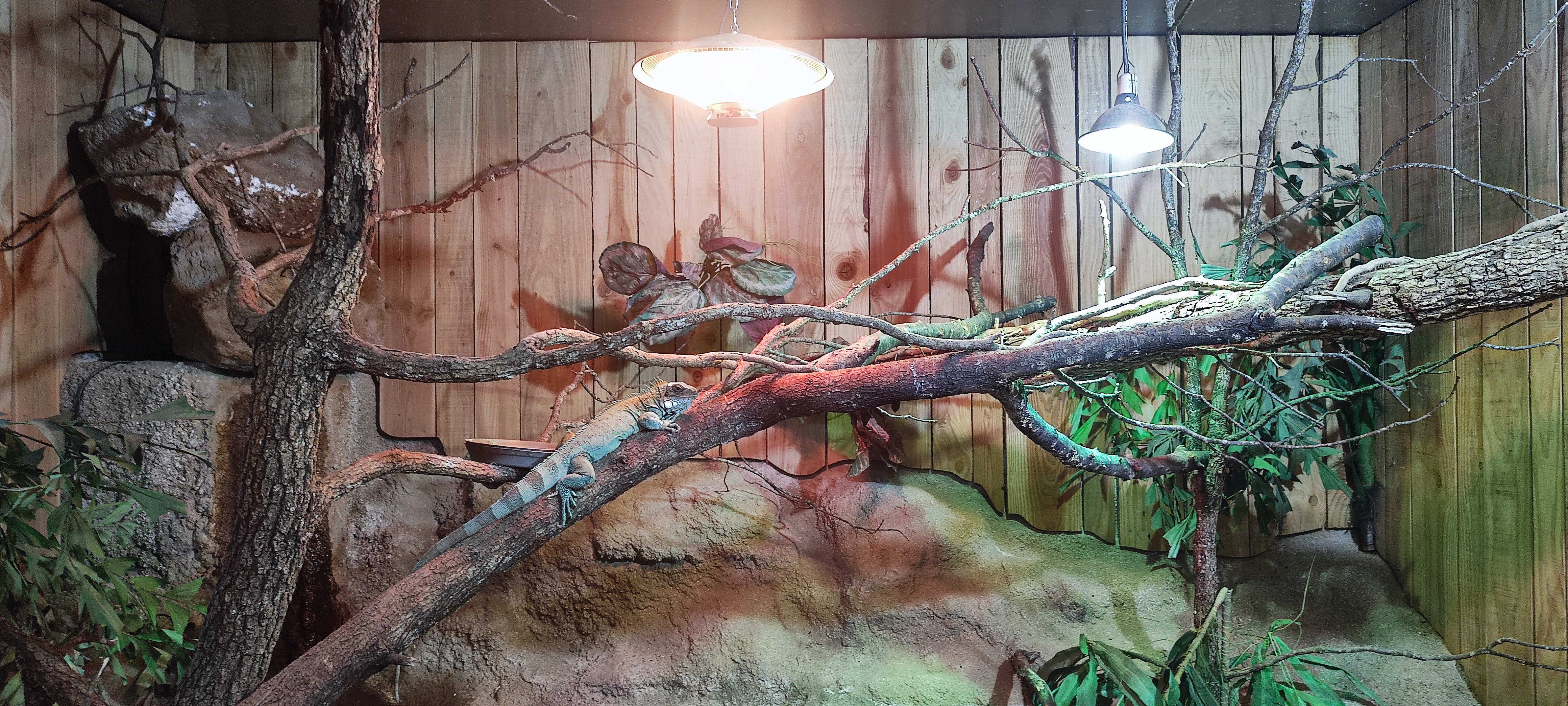 Photo n° 4 de l'avis de Léa.a fait le 07/09/2023 à 11:37