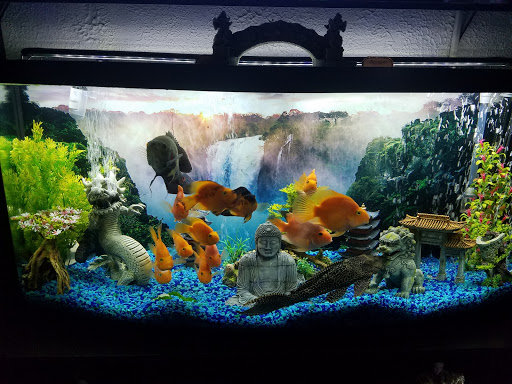 Pet Store «Petland Discounts - Union City», reviews and photos, 3147 John F. Kennedy Blvd, North Bergen, NJ 07047, USA