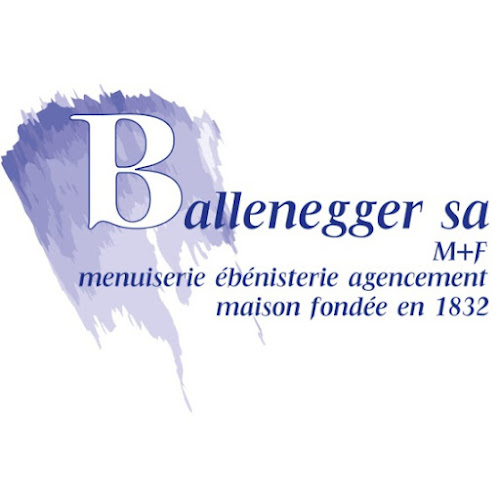 Rezensionen über Ballenegger & Cie SA in Lausanne - Zimmermann