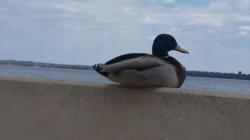 Convention Center «Monona Terrace Community and Convention Center», reviews and photos, 1 John Nolen Dr, Madison, WI 53703, USA