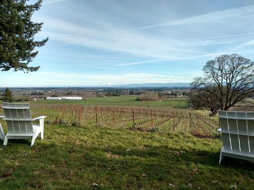 Winery «Evesham Wood Vineyard», reviews and photos, 3795 Wallace Rd NW, Salem, OR 97304, USA