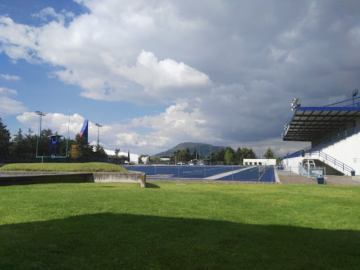 Estadio La Congeladora