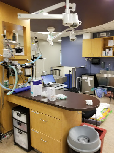 Adobe Animal Hospital South Bay image