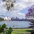 Eucalypt Lawn, Royal Botanic Gardens Sydney