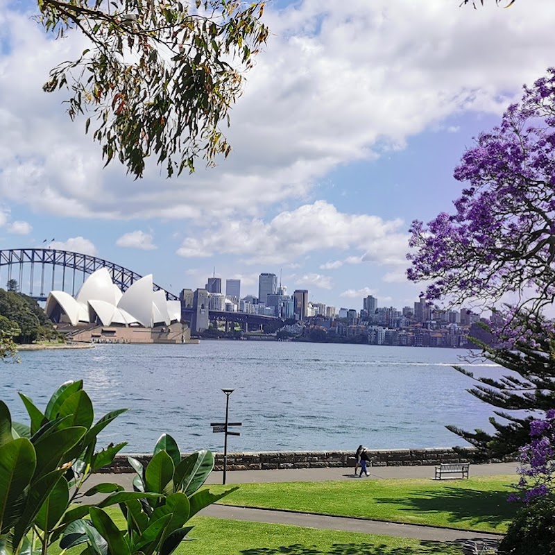 Eucalypt Lawn, Royal Botanic Gardens Sydney