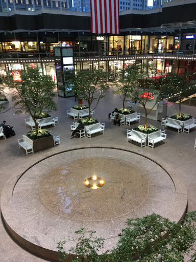 Shopping Mall «Gaviidae Common», reviews and photos, 651 Nicollet Mall #125, Minneapolis, MN 55402, USA