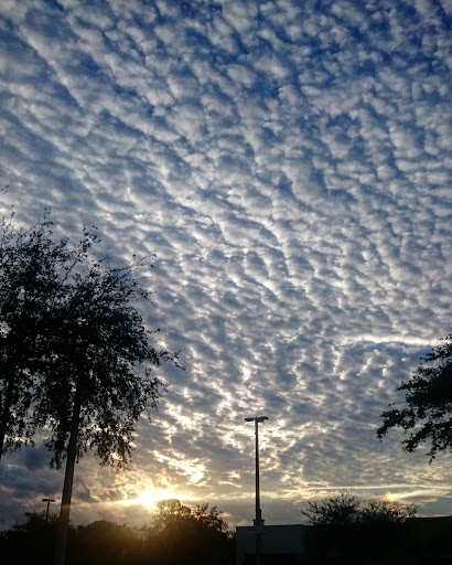 Coffee Shop «The Coffee Grinder», reviews and photos, 9834 Old Baymeadows Rd, Jacksonville, FL 32256, USA