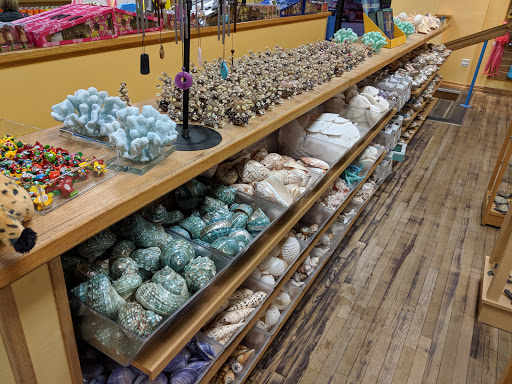 Clothing Store «Ron Jon Surf Shop», reviews and photos, 4151 N Atlantic Ave, Cocoa Beach, FL 32931, USA