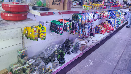 Top 2 cửa hàng cá kiểng Huyện A Lưới Thừa Thiên Huế 2022