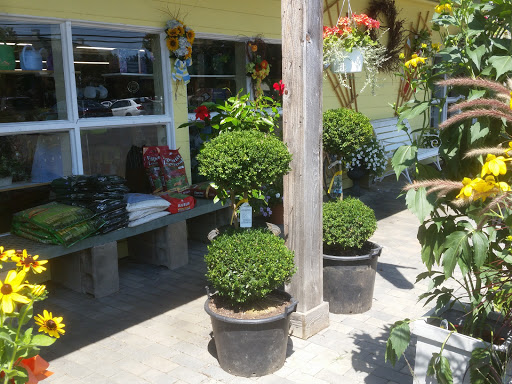 Garden Center «Cheshire Nursery Garden Center & Florist», reviews and photos, 1317 S Main St, Cheshire, CT 06410, USA