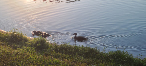 Golf Course «Skyview Golf Course», reviews and photos, 2100 N Terra Vista Blvd, Hernando, FL 34442, USA