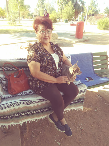 Golf Course «Encanto 9-Hole Golf Course», reviews and photos, 2300 N 17th Ave, Phoenix, AZ 85007, USA