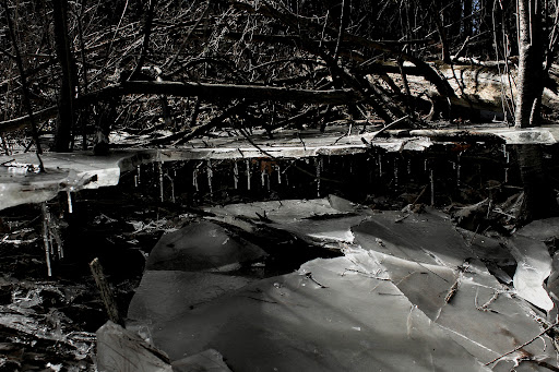 Nature Preserve «McDonald Woods Forest Preserve», reviews and photos, 19611 W Grass Lake Rd, Lake Villa, IL 60046, USA