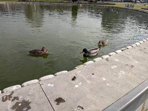 Park «Lake Union Park», reviews and photos, 860 Terry Ave N, Seattle, WA 98109, USA