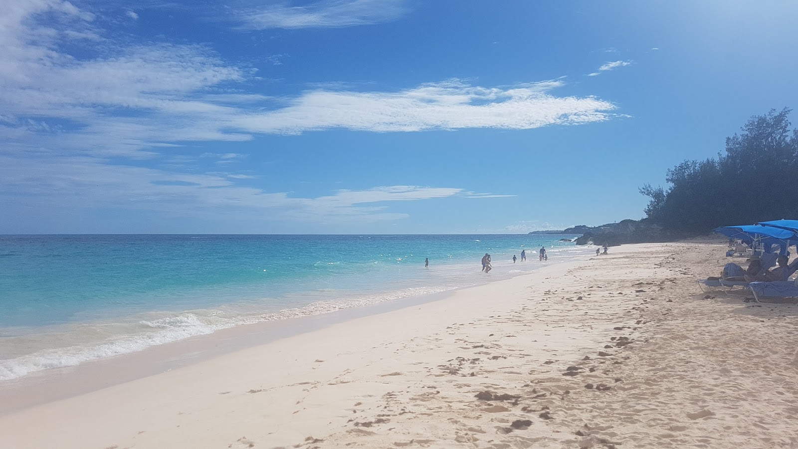 Foto di Rosewood Beach con abbastanza pulita livello di pulizia