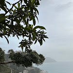 Photo n°15 de l'avis de Holly.o fait le 12/03/2023 à 09:27 sur le  Le Palme à Amalfi