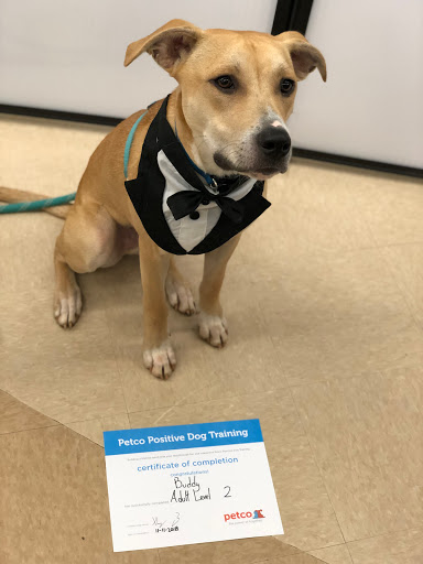 Pet Supply Store «Petco Animal Supplies», reviews and photos, 2345 Market Pl Blvd, Cumming, GA 30041, USA