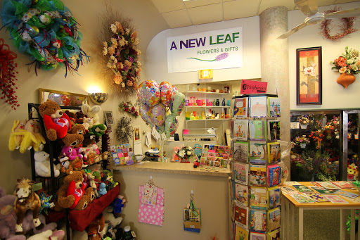 Florist «A New Leaf Flowers and Gifts», reviews and photos, 4106 Monona Dr, Madison, WI 53716, USA