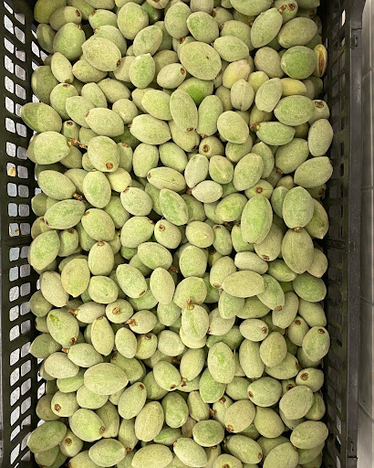 Kosher Grocery Store «Al-Taiba Market», reviews and photos, 1008 W Chapel Hill St, Durham, NC 27707, USA