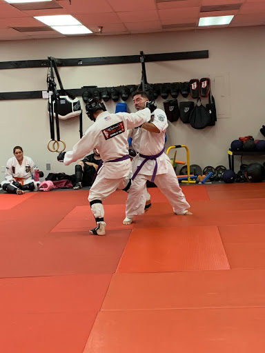 5.0 Evolved Martial Arts - A Jeff Speakman Tranining Center