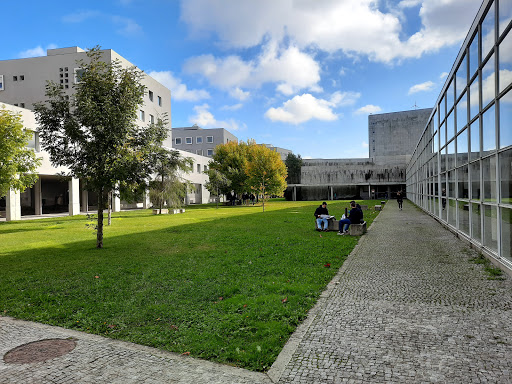 Distance universities in Oporto