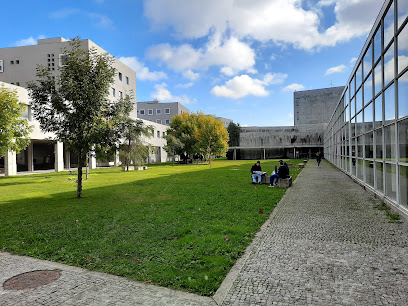 FEUP - Faculdade de Engenharia da Universidade do Porto