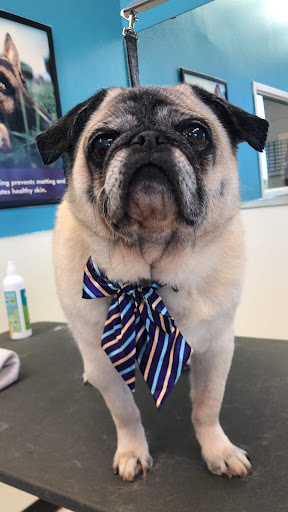 Pet Supply Store «Petco Animal Supplies», reviews and photos, 3380 124th Ave NW, Coon Rapids, MN 55433, USA