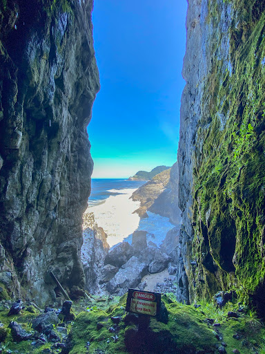 Tourist Attraction «Sea Lion Caves», reviews and photos, 91560 US-101, Florence, OR 97439, USA