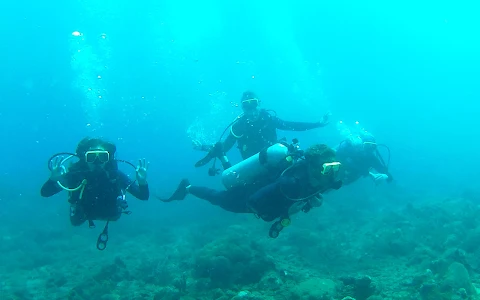 Oceano Scuba Dive Center image