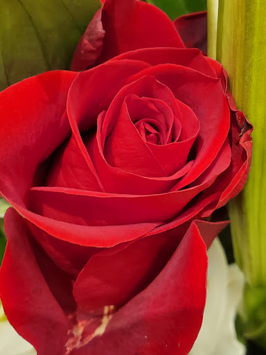 Grocery Store «Safeway», reviews and photos, 500 Cleveland Ave SE, Tumwater, WA 98501, USA