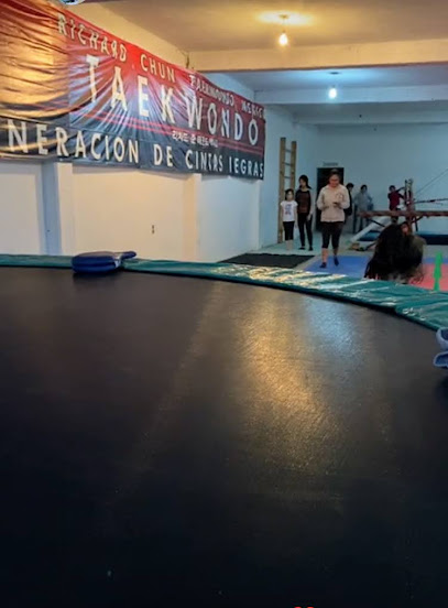 Gimnasia Artistica Club Xelnay - Rinconada del Venado, 42083 Fraccionamientos del Sur, Hidalgo, Mexico