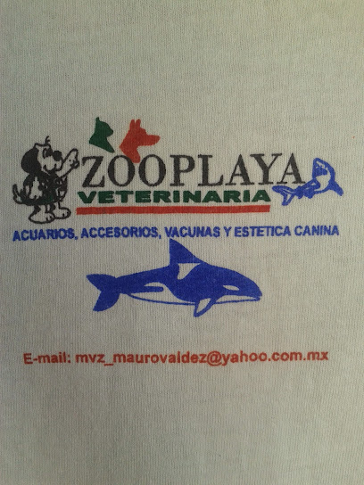 Veterinaria Zoo Playa