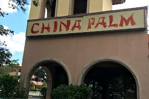 China Palm image