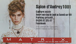 Salon de coiffure Martin Audrey 