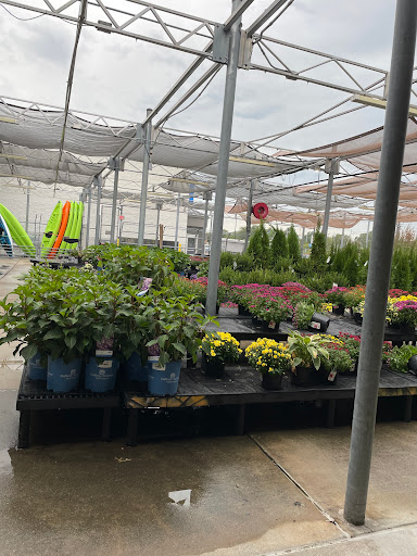 Department Store «Walmart Supercenter», reviews and photos, 2910 Grant Line Rd, New Albany, IN 47150, USA