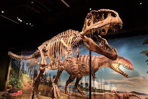 Denver Museum of Nature & Science image