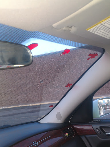 Supermarket «Save More Marketplace», reviews and photos, 8522 US-51, Minocqua, WI 54548, USA