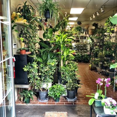 Florist «Blossom Shop», reviews and photos, 138 Orange St, New Haven, CT 06510, USA