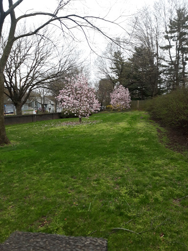 Natural History Museum «Yale Peabody Museum of Natural History», reviews and photos, 170 Whitney Ave, New Haven, CT 06511, USA