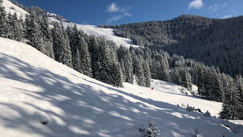 Chalet le Carlina - Déclic's Loisirs Aventure à La Chapelle-d'Abondance