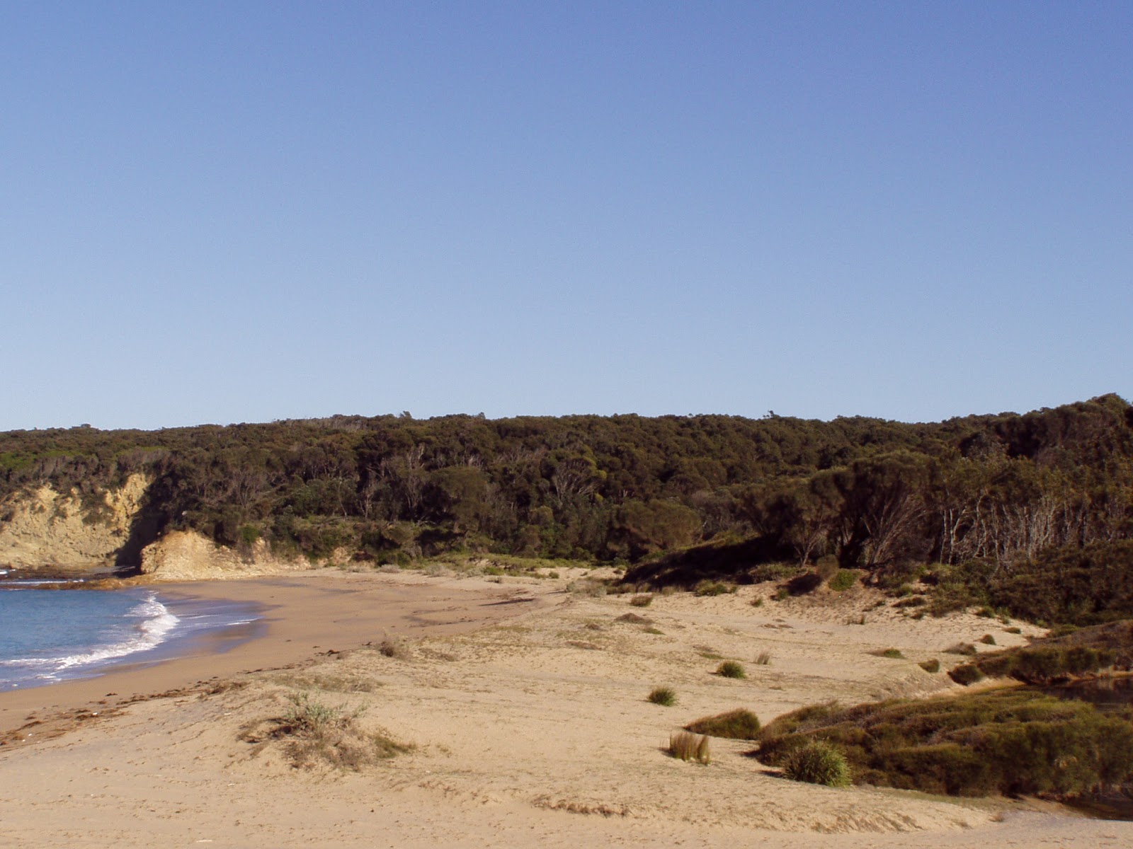 Foto av North Head Beach omgiven av berg