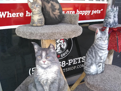 Pet Store «Firehouse Pet Shop & Grooming», reviews and photos, 17 S Wenatchee Ave, Wenatchee, WA 98801, USA